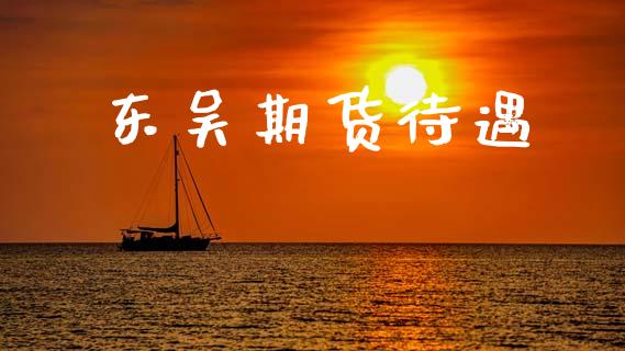 东吴期货待遇_https://wap.sdyuehang.cn_新股申购_第1张