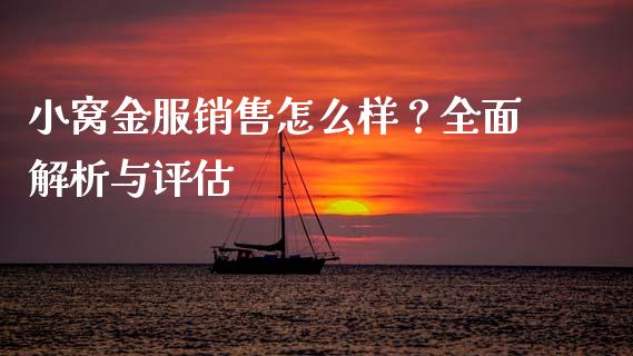 小窝金服销售怎么样?全面解析与评估_债券资讯_第1张_产经新闻_债券资讯_新股申购_美股行情 小窝金服销售怎么样?全面解析与评估_https://wap.sdyuehang.cn_债券资讯_第1张