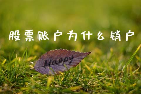 股票账户为什么销户_https://wap.sdyuehang.cn_新股申购_第1张