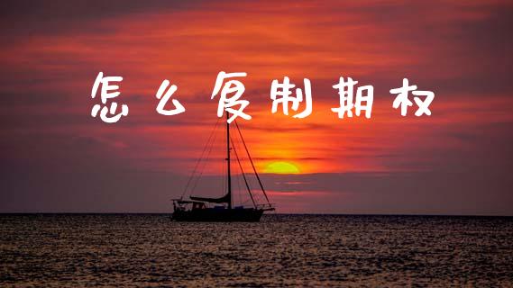 怎么复制期权_https://wap.sdyuehang.cn_美股行情_第1张