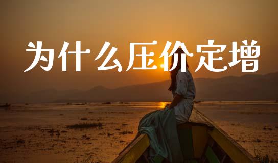 为什么压价定增_https://wap.sdyuehang.cn_美股行情_第1张