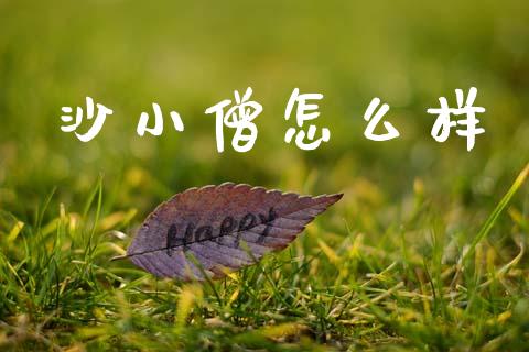 沙小僧怎么样_https://wap.sdyuehang.cn_产经新闻_第1张