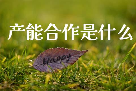 产能合作是什么_https://wap.sdyuehang.cn_债券资讯_第1张