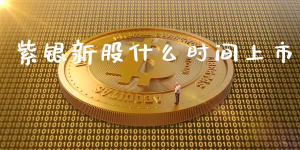 紫银新股什么时间上市_https://wap.sdyuehang.cn_债券资讯_第1张