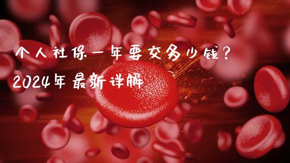 个人社保一年要交多少钱？2024年最新详解_https://wap.sdyuehang.cn_新股申购_第1张