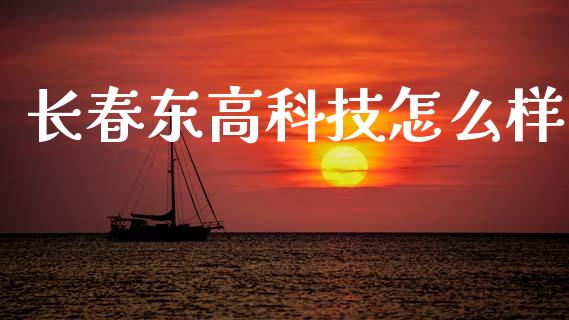 长春东高科技怎么样_https://wap.sdyuehang.cn_美股行情_第1张