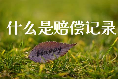 什么是赔偿记录_https://wap.sdyuehang.cn_债券资讯_第1张