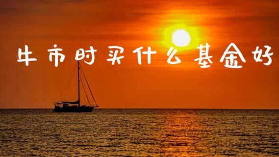 牛市时买什么基金好_https://wap.sdyuehang.cn_债券资讯_第1张