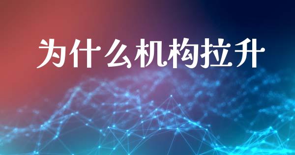 为什么机构拉升_https://wap.sdyuehang.cn_美股行情_第1张