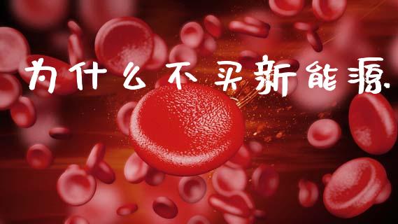 为什么不买新能源_https://wap.sdyuehang.cn_新股申购_第1张