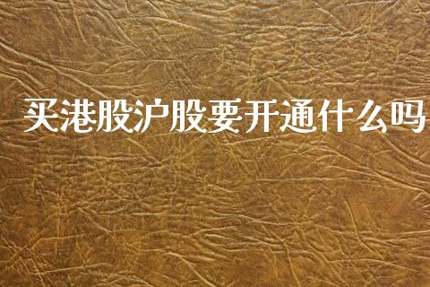 买港股沪股要开通什么吗_https://wap.sdyuehang.cn_美股行情_第1张