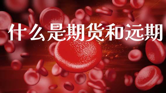 什么是期货和远期_https://wap.sdyuehang.cn_产经新闻_第1张