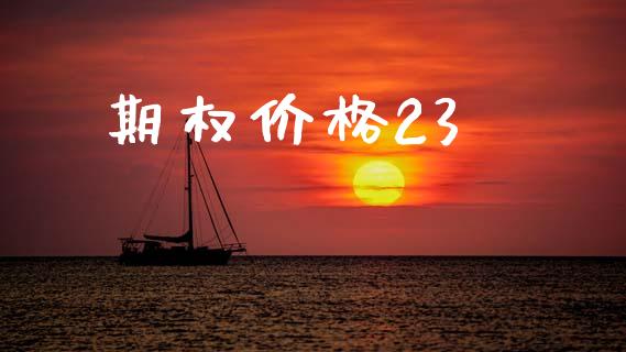 期权价格23_https://wap.sdyuehang.cn_美股行情_第1张