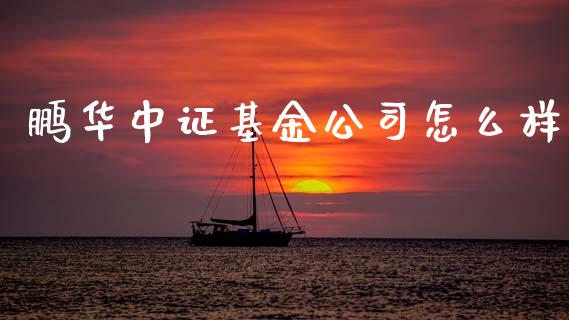 鹏华中证基金公司怎么样_https://wap.sdyuehang.cn_债券资讯_第1张