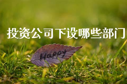 投资公司下设哪些部门_https://wap.sdyuehang.cn_债券资讯_第1张