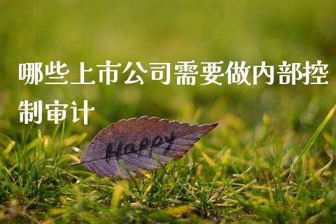 哪些上市公司需要做内部控制审计_https://wap.sdyuehang.cn_新股申购_第1张