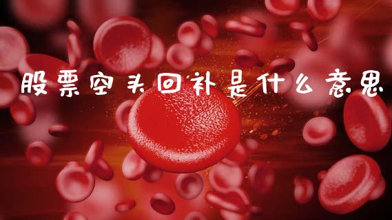 股票空头回补是什么意思_https://wap.sdyuehang.cn_债券资讯_第1张