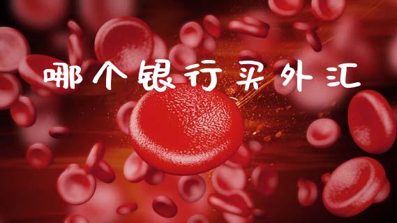 哪个银行买外汇_https://wap.sdyuehang.cn_新股申购_第1张