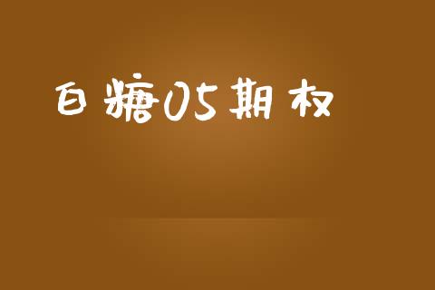 白糖05期权_https://wap.sdyuehang.cn_产经新闻_第1张