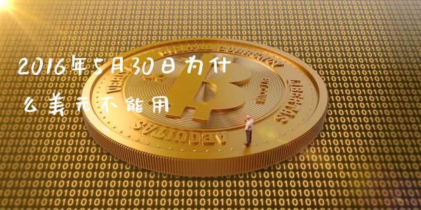 2016年5月30日为什么美元不能用_https://wap.sdyuehang.cn_美股行情_第1张