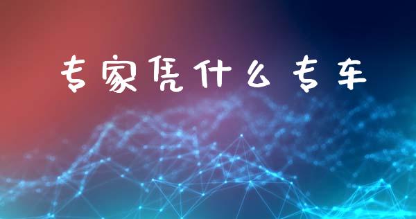 专家凭什么专车_https://wap.sdyuehang.cn_新股申购_第1张