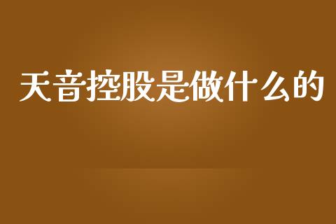 天音控股是做什么的_https://wap.sdyuehang.cn_产经新闻_第1张