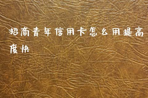 招商青年信用卡怎么用提高度快_https://wap.sdyuehang.cn_新股申购_第1张