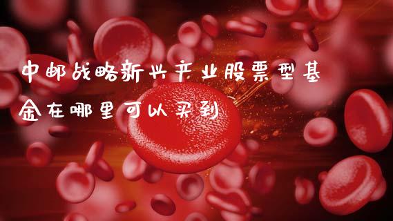 中邮战略新兴产业股票型基金在哪里可以买到_https://wap.sdyuehang.cn_债券资讯_第1张
