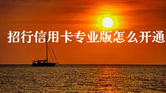 招行信用卡专业版怎么开通_https://wap.sdyuehang.cn_新股申购_第1张
