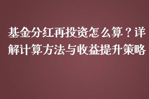 基金分红再投资怎么算？详解计算方法与收益提升策略_https://wap.sdyuehang.cn_新股申购_第1张