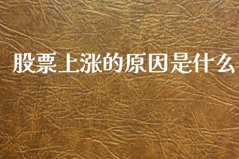 股票上涨的原因是什么_https://wap.sdyuehang.cn_债券资讯_第1张