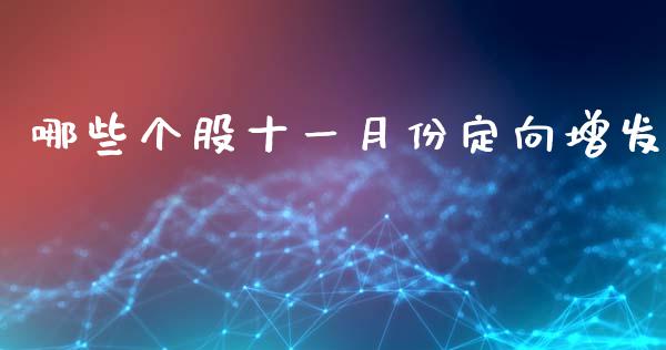 哪些个股十一月份定向增发_https://wap.sdyuehang.cn_产经新闻_第1张