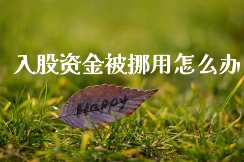 入股资金被挪用怎么办_https://wap.sdyuehang.cn_新股申购_第1张