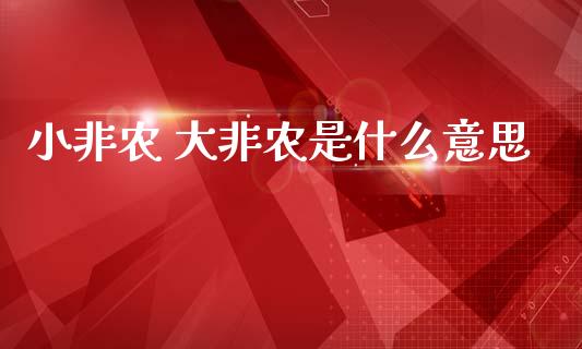 小非农 大非农是什么意思_https://wap.sdyuehang.cn_新股申购_第1张