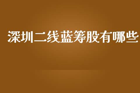 深圳二线蓝筹股有哪些_https://wap.sdyuehang.cn_新股申购_第1张