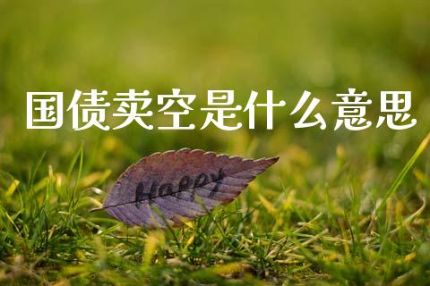 国债卖空是什么意思_https://wap.sdyuehang.cn_新股申购_第1张