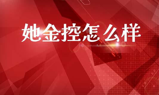她金控怎么样_https://wap.sdyuehang.cn_债券资讯_第1张