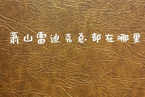 萧山雷迪克总部在哪里_https://wap.sdyuehang.cn_新股申购_第1张