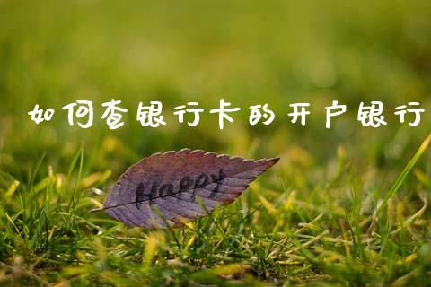 如何查银行卡的开户银行_https://wap.sdyuehang.cn_美股行情_第1张