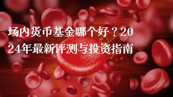 场内货币基金哪个好？2024年最新评测与投资指南_https://wap.sdyuehang.cn_美股行情_第1张