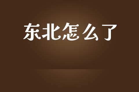 东北怎么了_https://wap.sdyuehang.cn_产经新闻_第1张