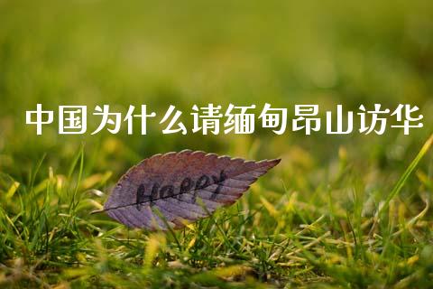 中国为什么请缅甸昂山访华_https://wap.sdyuehang.cn_美股行情_第1张
