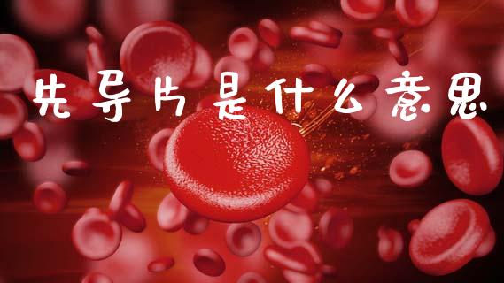 先导片是什么意思_https://wap.sdyuehang.cn_美股行情_第1张