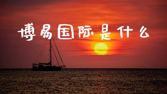 博易国际是什么_https://wap.sdyuehang.cn_美股行情_第1张