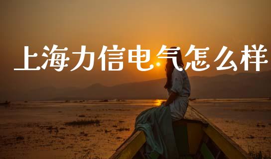 上海力信电气怎么样_https://wap.sdyuehang.cn_美股行情_第1张