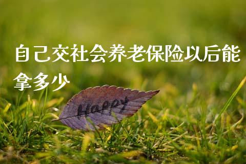 自己交社会养老保险以后能拿多少_https://wap.sdyuehang.cn_新股申购_第1张