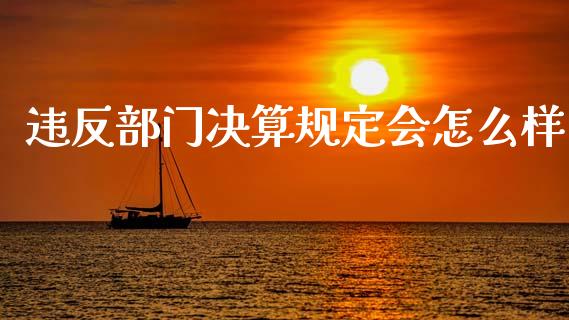 违反部门决算规定会怎么样_https://wap.sdyuehang.cn_新股申购_第1张