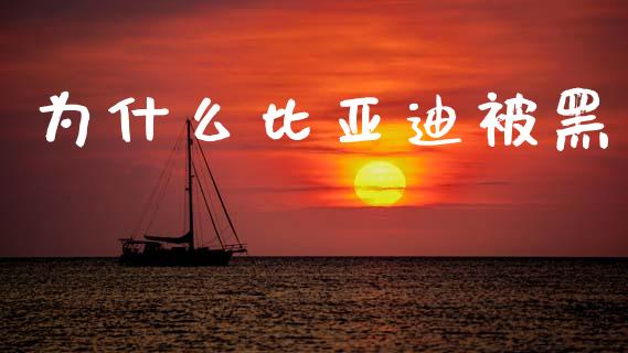 为什么比亚迪被黑_https://wap.sdyuehang.cn_美股行情_第1张
