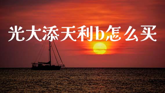 光大添天利b怎么买_https://wap.sdyuehang.cn_产经新闻_第1张
