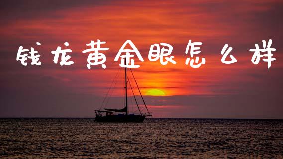 钱龙黄金眼怎么样_https://wap.sdyuehang.cn_美股行情_第1张